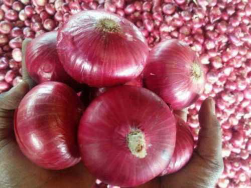 Nashik Onions